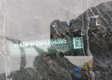 1FADP3F29FL204395